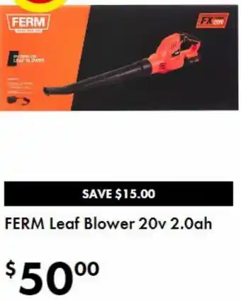 The Reject Shop Ferm Leaf Blower 20v 2.0ah offer