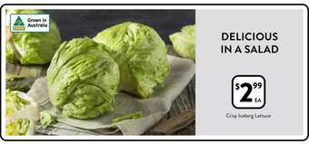 Foodworks Crisp iceberg lettuce offer