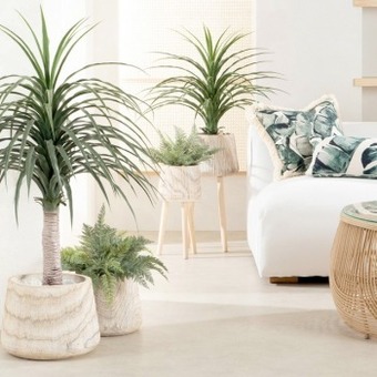 Pillow Talk Levi planter by m.u.s.e. offer