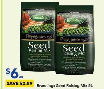 Ritchies Brunnings seed raising mix offer
