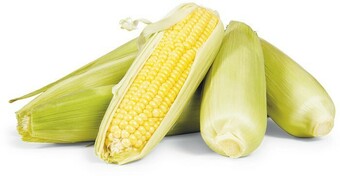 Woolworths Australian Loose Sweet Corn offer