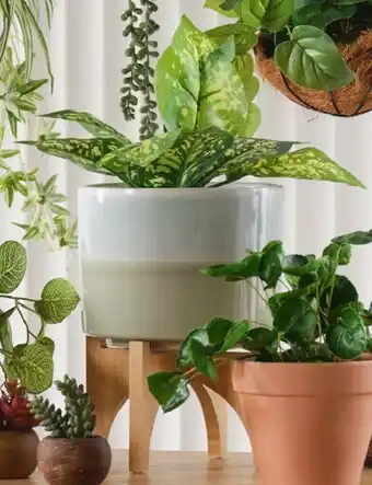 Spotlight 30% off planter pot with stand offer