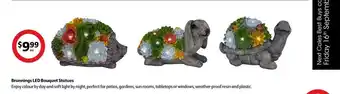 Coles Brunnings led bouquet statues offer
