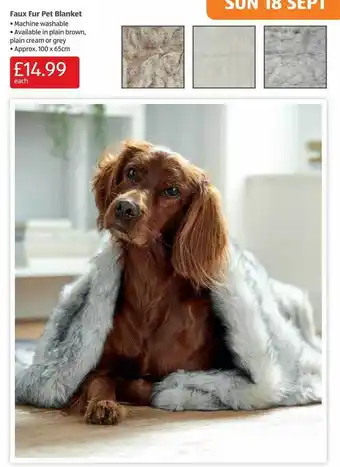 ALDI Faux fur pet blanket offer