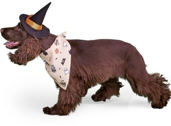 BIG W Tails halloween pet hat offer