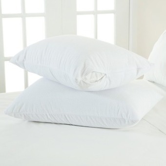 Pillow Talk Waterproof pillow protector by aller-free offer