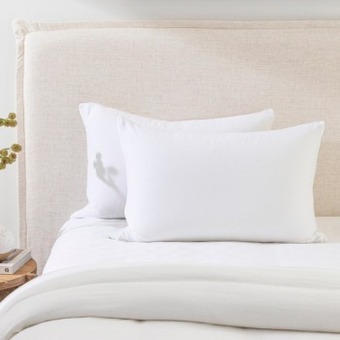 Pillow Talk Cotton jersey standard pillow protector by two islands offer