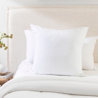 Pillow Talk Cotton jersey european pillow protector by two islands offer