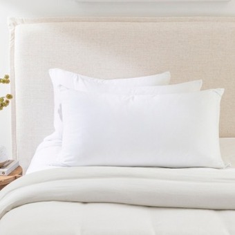 Pillow Talk Cotton jersey queen pillow protector by two islands offer