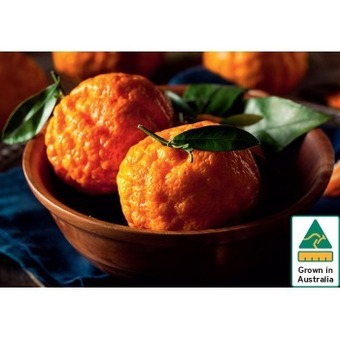 IGA Australian gold nugget mandarins offer