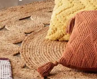 Woven Area Rug