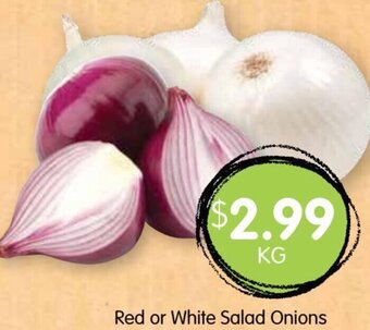 Spudshed Red or White Salad Onions offer
