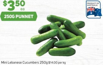 Foodland Mini Lebanese Cucumbers 250g offer