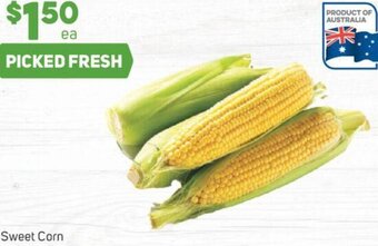 Foodland Sweet Corn offer