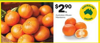 Australian afourer mandarins