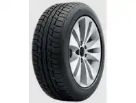 BF Goodrich Advantage TA 195/65R15 91H