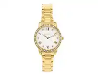 Shiels Ellis & Co Alena Gold Tone Womens Watch offer