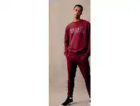 Harris Scarfe Lonsdale Brigg Crew Neck Sweat with Chest Print offer