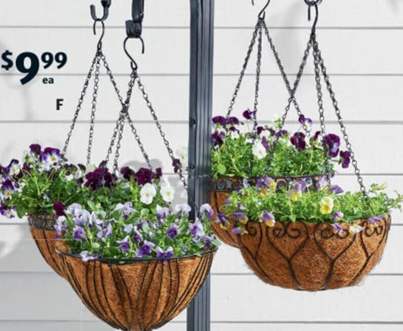 Premium Hanging Basket With Coco Liner offer at ALDI