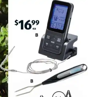 BBQ Thermometers