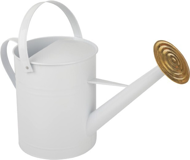 5 seasons watering can offer at Coles