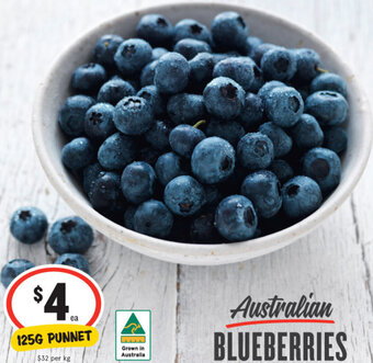 Australian Blueberries