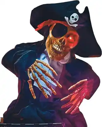 Woolworths Halloween deluxe animated pirate offer