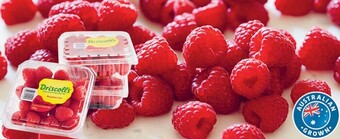 Coles Australian raspberries 125g punnet offer