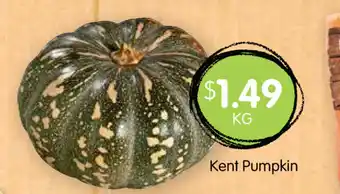Kent Pumpkin per kg