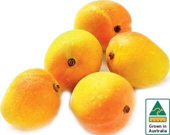 Australian kensington pride mangoes