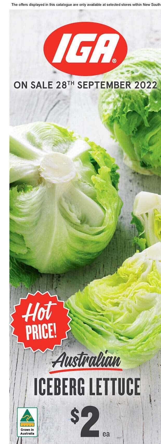 Iceberg lettuce australian offer at IGA