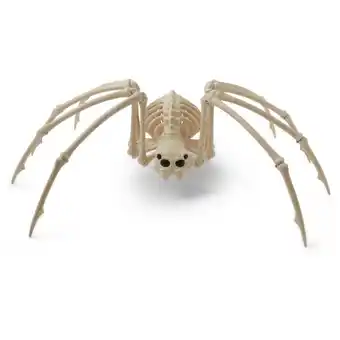 BIG W Halloween xl giant skeleton spider offer