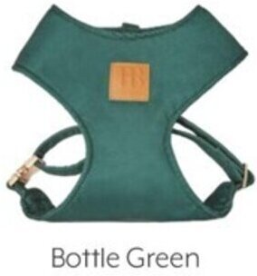 Pet stock Buddy & Belle Small offer