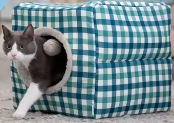 Pet stock Lexi & Me Cat Cube Atlantic Gingham offer