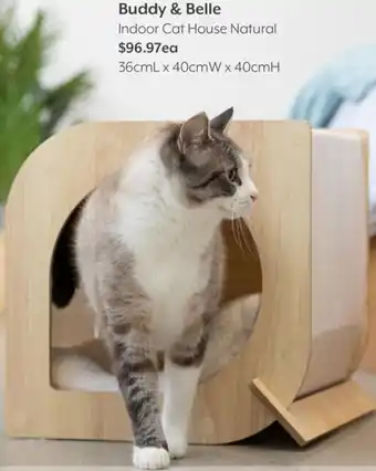 Buddy & Belle Indoor Cat House Natural