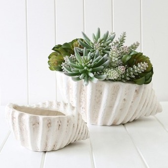 Conch bowl by m.u.s.e.