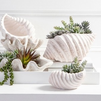 Pillow Talk Clam shell bowl by m.u.s.e. offer
