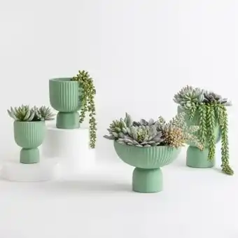 Pillow Talk Circa planter by habitat offer
