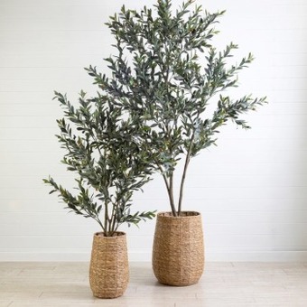 Pillow Talk Otis basket planter by m.u.s.e. offer