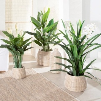 Pillow Talk Cove basket range by m.u.s.e. offer