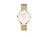 Bevilles Jewellery Daniel Wellington Petite Evergold 36mm DW00100346 offer