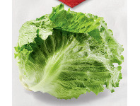 ALDI Australian Iceberg Lettuce Each offer