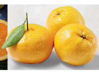 ALDI Australian Imperial Mandarins Per Kg offer