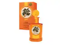 Chemist Warehouse Monotheme Il Libro Degli Agrumi Verde D’Arancia 100ml offer