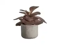 LivingStyles Potted Artificial Kalanchoe Damson offer