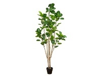 LivingStyles Glamorous Fusion Potted Artificial Peperomioides Tree, 180cm offer