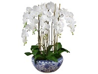 LivingStyles Dynasty Artificial Phalaenopsis Orchid in Pot, 65x92cm, White Flower offer