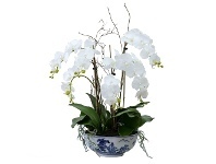 LivingStyles Meji Artificial Phalaenopsis Orchid in Pot, 75cm offer