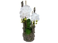 LivingStyles Oyabe Artificial Phalaenopsis Orchid Arrangement, 60cm offer