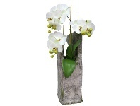 LivingStyles Hino Artificial Phalaenopsis Orchid Arrangement, 67cm offer